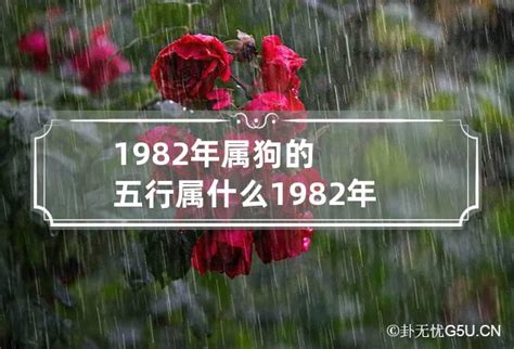 1982屬|1982年属什么 1982年属什么五行